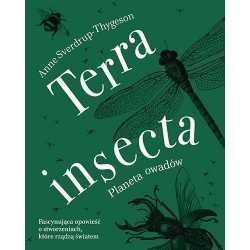 Terra insecta planeta owadów-16302