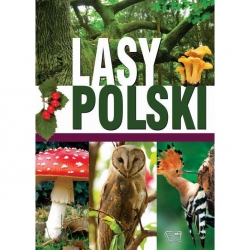 Lasy polskie-16479